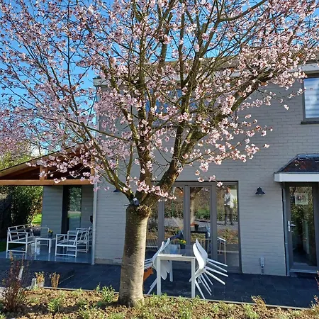Chez Laure - Gite 4 Personnes, Pres De Durbuy Extérieur photo
